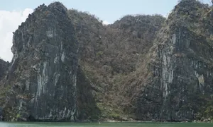 Thảm thực vật trên vịnh Hạ Long trơ trụi sau bão Yagi